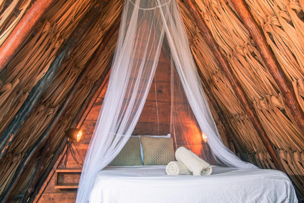 Mapache Hostel & Camping Isla Holbox Екстериор снимка