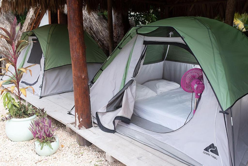 Mapache Hostel & Camping Isla Holbox Екстериор снимка