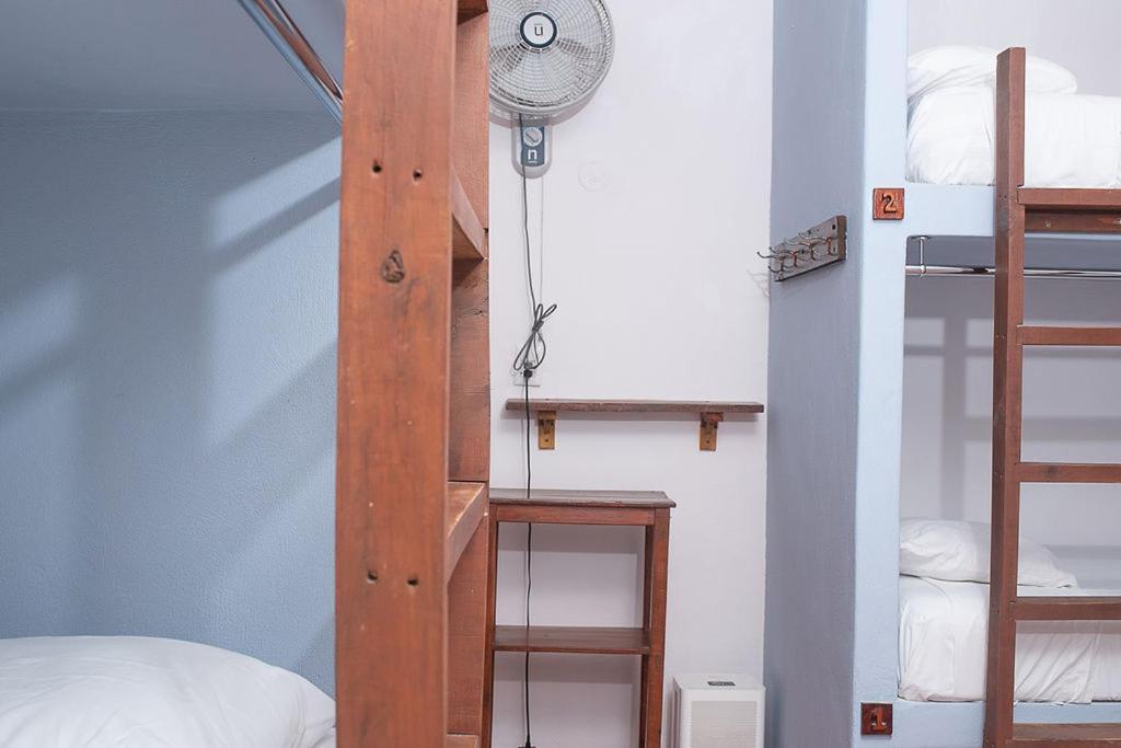 Mapache Hostel & Camping Isla Holbox Екстериор снимка