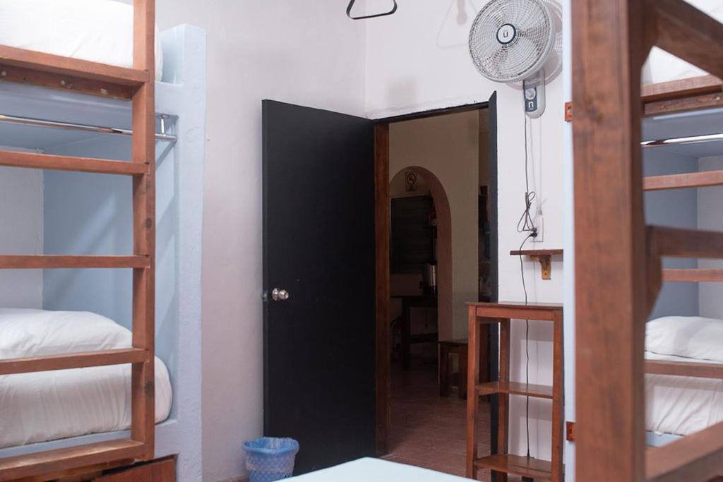 Mapache Hostel & Camping Isla Holbox Екстериор снимка