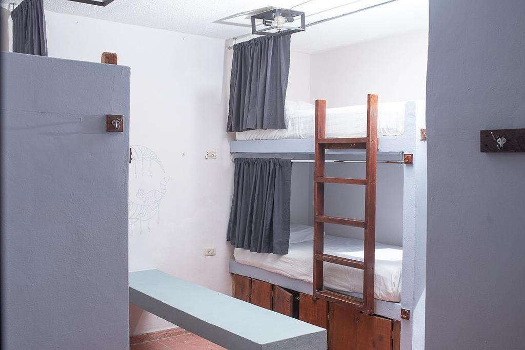 Mapache Hostel & Camping Isla Holbox Екстериор снимка