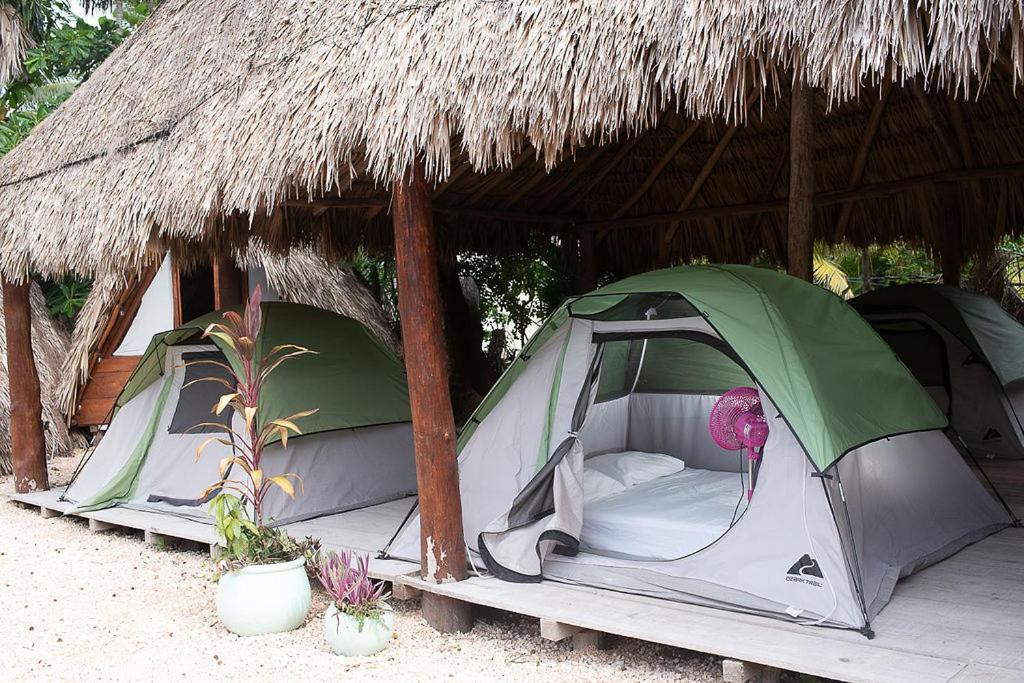 Mapache Hostel & Camping Isla Holbox Екстериор снимка